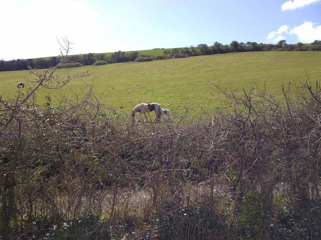 Freshwater Bay Holiday Cottages Pembroke Esterno foto